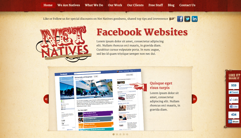 Website design for Net Natives