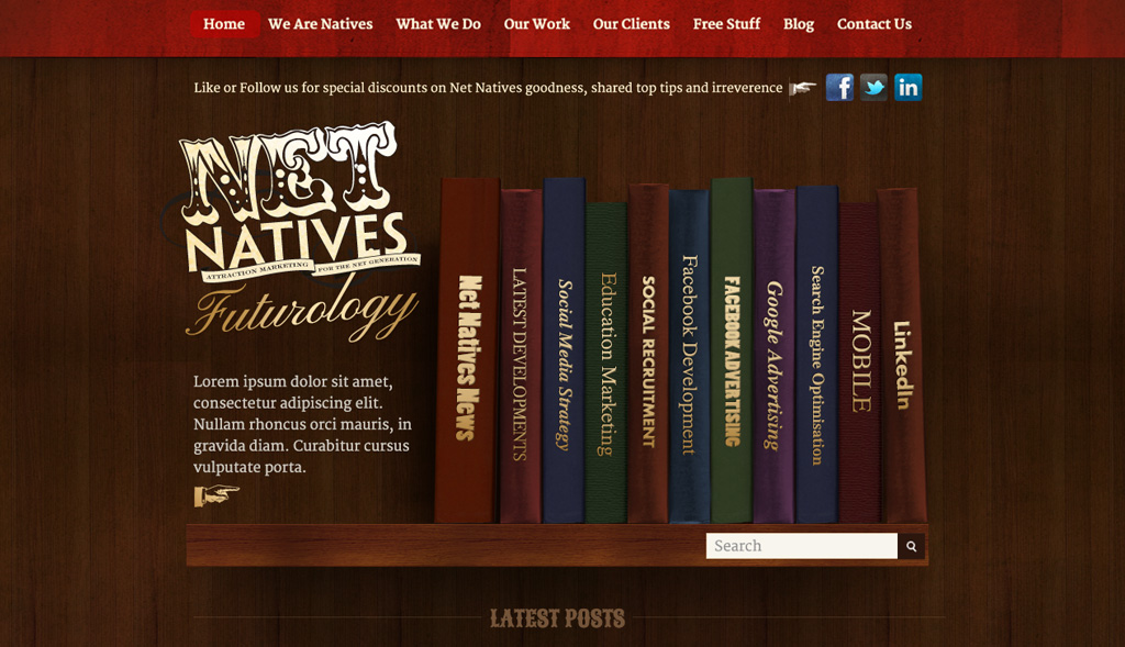 Website design for Net Natives